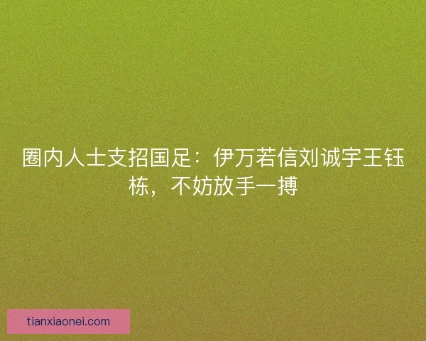 圈内人士支招国足:伊万若信刘诚宇王钰栋,不妨放手一搏 圈内人士支招国足:伊万若信刘诚宇王钰栋,不妨放手一搏