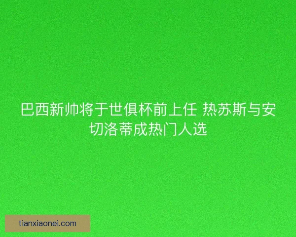 巴西新帅将于世俱杯前上任 热苏斯与安切洛蒂成热门人选